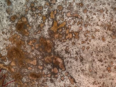 Professional water damage restoration services in Annapolis